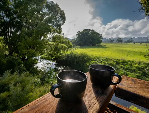 two coffees on the deck, the morning already sorted